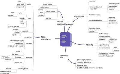 Gene Variants Determine Placental Transfer of Perfluoroalkyl Substances (PFAS), Mercury (Hg) and Lead (Pb), and Birth Outcome: Findings From the UmMuKi Bratislava-Vienna Study